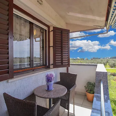 Appartement Near In Barbariga-istrien 54362